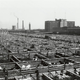 Image for article titled Utterly Disturbing, Century-Old Photos of Meat-Packing Facilities